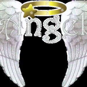 Meet your Posher, Linette